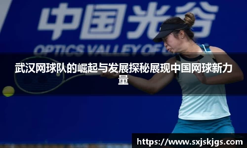 OB体育官网入口