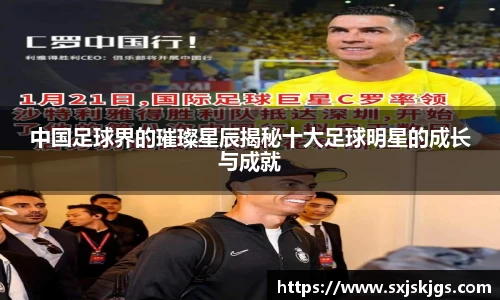 中国足球界的璀璨星辰揭秘十大足球明星的成长与成就